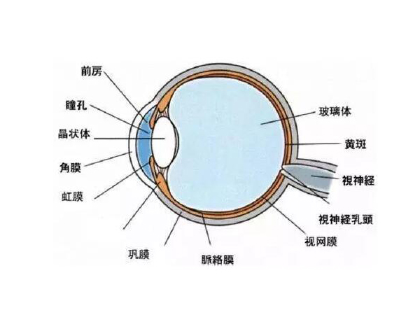 小心！高溫性眼灼傷